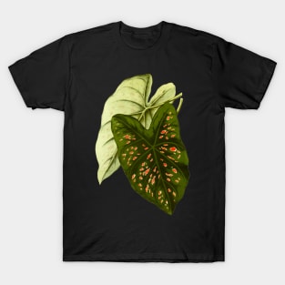 Caladium Freckles - botanical illustration T-Shirt